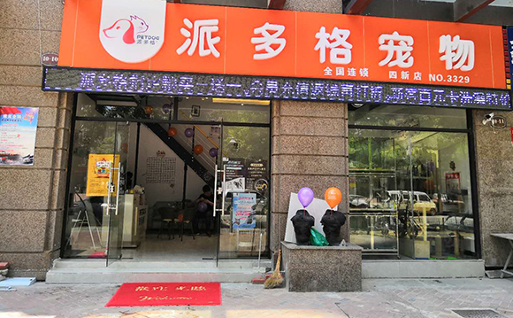 开宠物店需要的是学习、实践