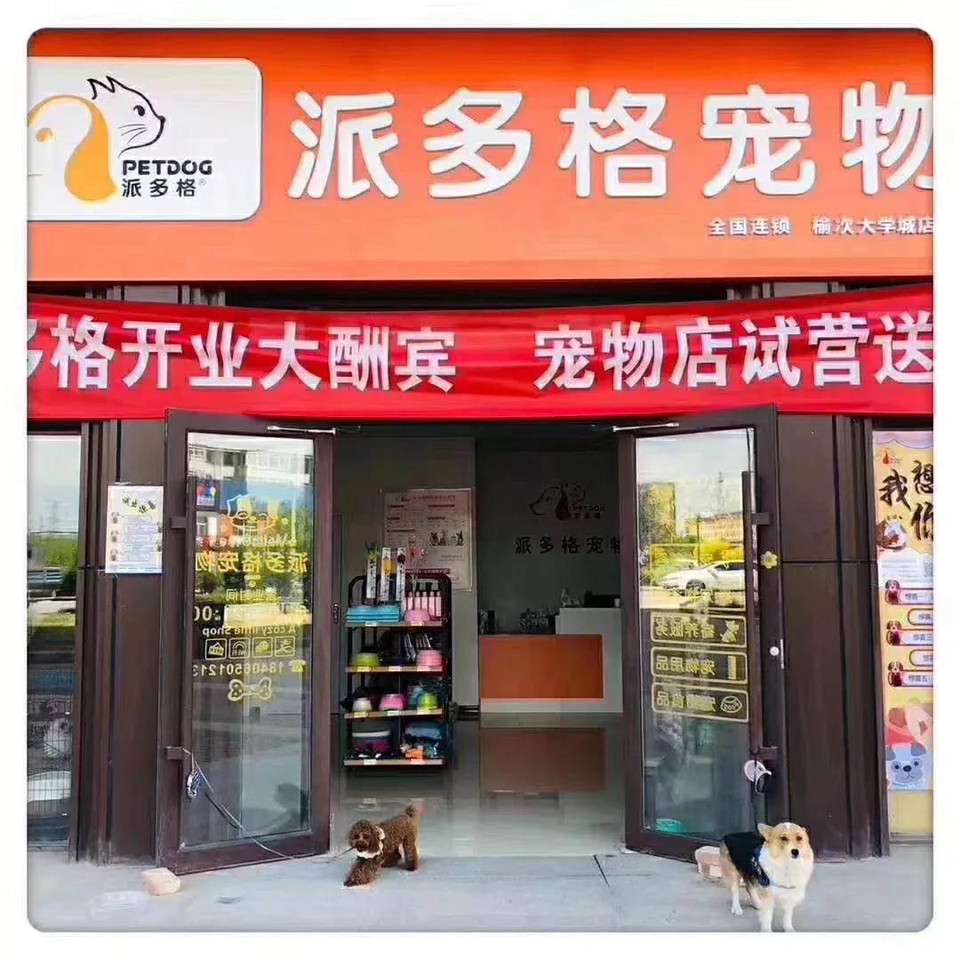 在大城市开宠物店怎么经营