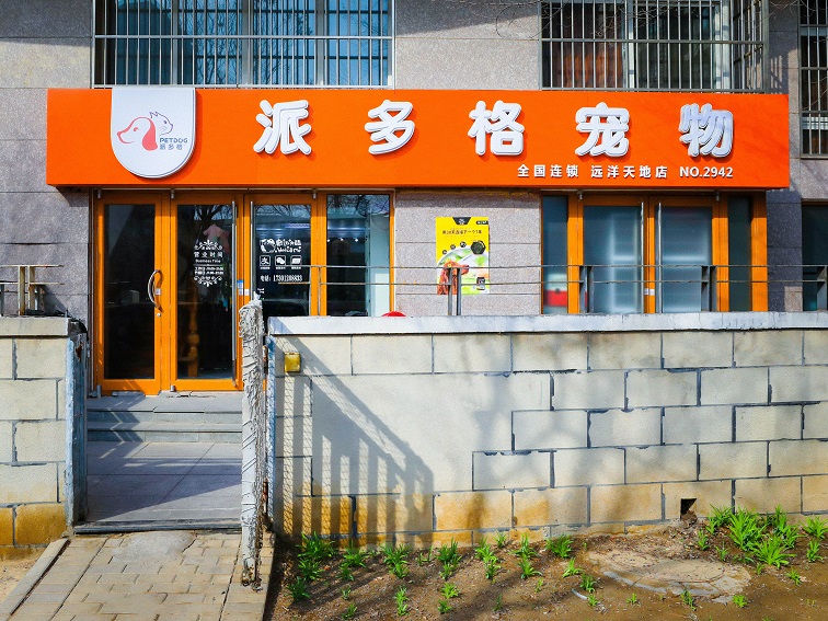 沈阳想开宠物店需要什么手续？